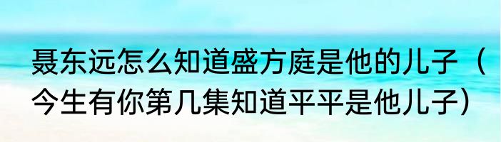 聂东远怎么知道盛方庭是他的儿子（今生有你第几集知道平平是他儿子）