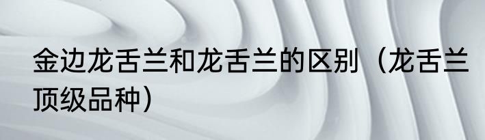金边龙舌兰和龙舌兰的区别（龙舌兰顶级品种）