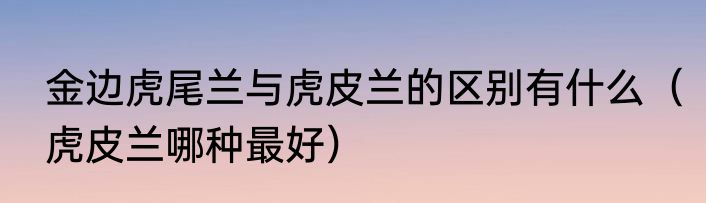 金边虎尾兰与虎皮兰的区别有什么（虎皮兰哪种最好）