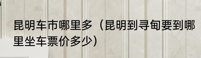 昆明车市哪里多（昆明到寻甸要到哪里坐车票价多少）