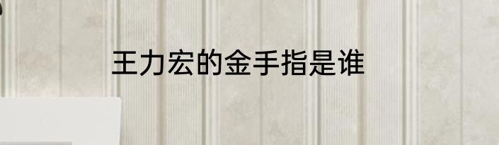 王力宏的金手指是谁
