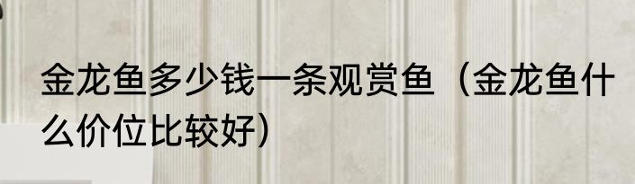 金龙鱼多少钱一条观赏鱼（金龙鱼什么价位比较好）
