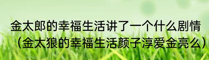 金太郎的幸福生活讲了一个什么剧情（金太狼的幸福生活颜子淳爱金亮么）