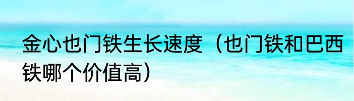 金心也门铁生长速度（也门铁和巴西铁哪个价值高）