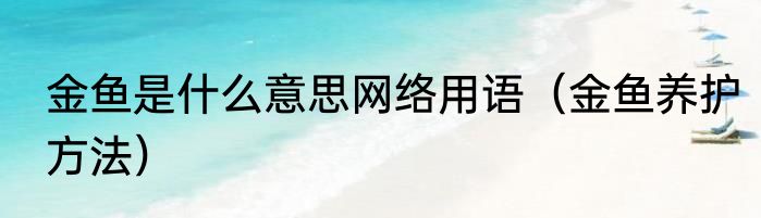 金鱼是什么意思网络用语（金鱼养护方法）