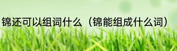 锦还可以组词什么（锦能组成什么词）