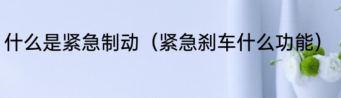 什么是紧急制动（紧急刹车什么功能）