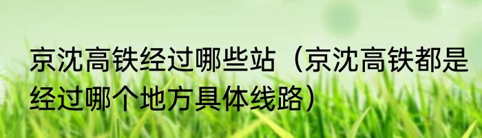 京沈高铁经过哪些站（京沈高铁都是经过哪个地方具体线路）