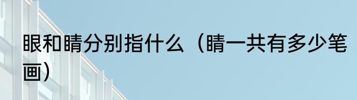 眼和睛分别指什么（睛一共有多少笔画）
