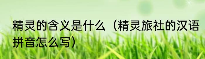 精灵的含义是什么（精灵旅社的汉语拼音怎么写）
