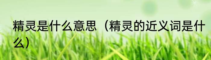 精灵是什么意思（精灵的近义词是什么）