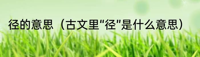 径的意思（古文里“径”是什么意思）