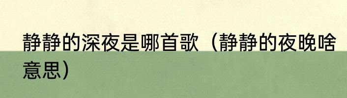 静静的深夜是哪首歌（静静的夜晚啥意思）