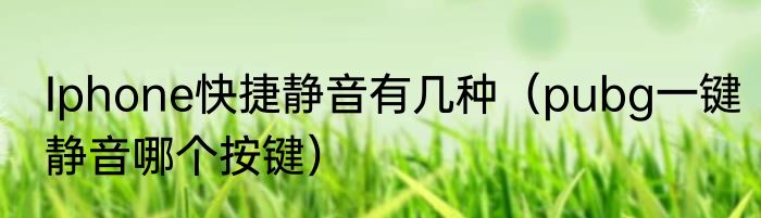 Iphone快捷静音有几种（pubg一键静音哪个按键）