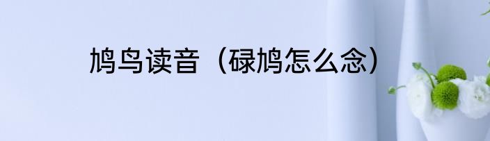 鸠鸟读音（碌鸠怎么念）