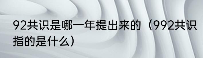 92共识是哪一年提出来的（992共识指的是什么）
