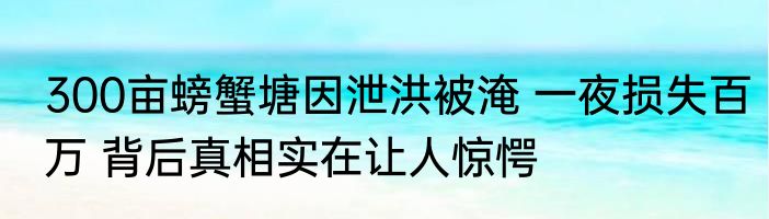 300亩螃蟹塘因泄洪被淹 一夜损失百万 背后真相实在让人惊愕