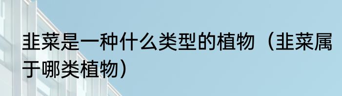 韭菜是一种什么类型的植物（韭菜属于哪类植物）
