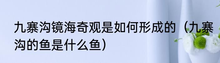 九寨沟镜海奇观是如何形成的（九寨沟的鱼是什么鱼）