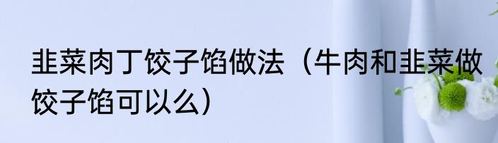 韭菜肉丁饺子馅做法（牛肉和韭菜做饺子馅可以么）