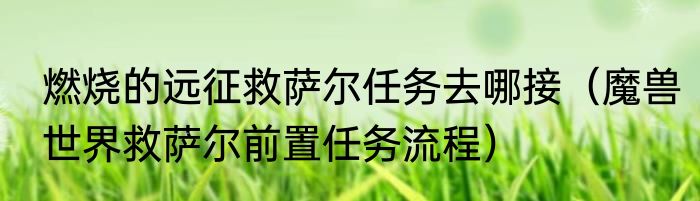 燃烧的远征救萨尔任务去哪接（魔兽世界救萨尔前置任务流程）
