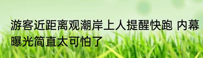 游客近距离观潮岸上人提醒快跑 内幕曝光简直太可怕了