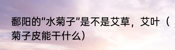 鄱阳的“水菊子”是不是艾草，艾叶（菊子皮能干什么）