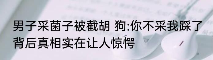 男子采菌子被截胡 狗:你不采我踩了 背后真相实在让人惊愕