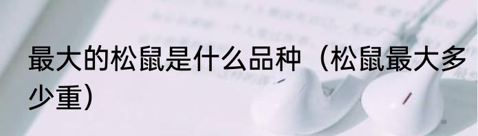 最大的松鼠是什么品种（松鼠最大多少重）