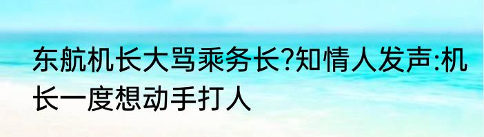 东航机长大骂乘务长?知情人发声:机长一度想动手打人