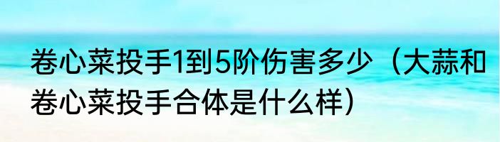 卷心菜投手1到5阶伤害多少（大蒜和卷心菜投手合体是什么样）