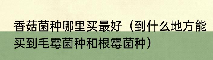 香菇菌种哪里买最好（到什么地方能买到毛霉菌种和根霉菌种）