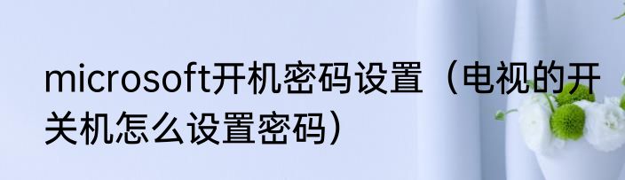 microsoft开机密码设置（电视的开关机怎么设置密码）