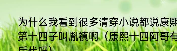 为什么我看到很多清穿小说都说康熙第十四子叫胤禛啊（康熙十四阿哥有后代吗）