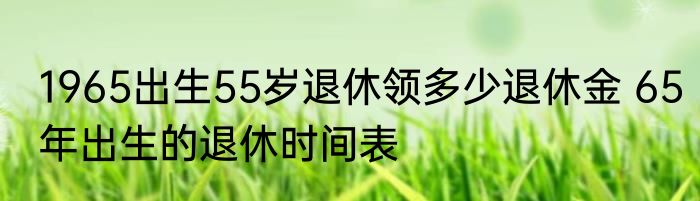 1965出生55岁退休领多少退休金 65年出生的退休时间表