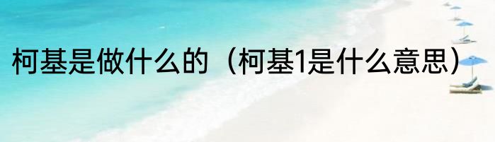 柯基是做什么的（柯基1是什么意思）