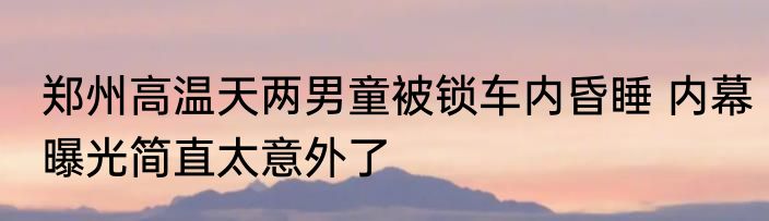 郑州高温天两男童被锁车内昏睡 内幕曝光简直太意外了