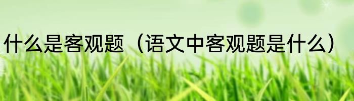 什么是客观题（语文中客观题是什么）