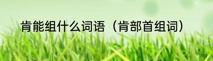 肯能组什么词语（肯部首组词）