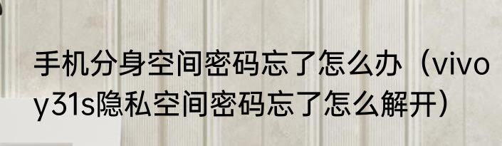 手机分身空间密码忘了怎么办（vivoy31s隐私空间密码忘了怎么解开）