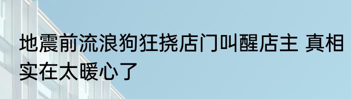 地震前流浪狗狂挠店门叫醒店主 真相实在太暖心了