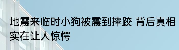 地震来临时小狗被震到摔跤 背后真相实在让人惊愕