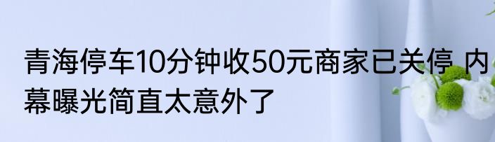 青海停车10分钟收50元商家已关停 内幕曝光简直太意外了
