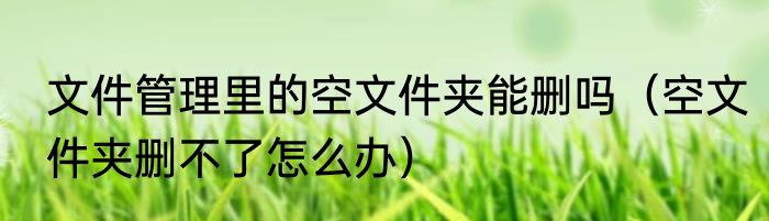 文件管理里的空文件夹能删吗（空文件夹删不了怎么办）