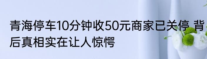 青海停车10分钟收50元商家已关停 背后真相实在让人惊愕