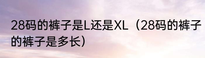 28码的裤子是L还是XL（28码的裤子的裤子是多长）