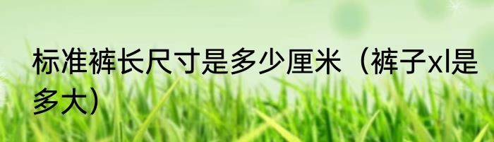 标准裤长尺寸是多少厘米（裤子xl是多大）