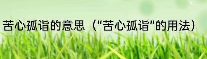 苦心孤诣的意思（“苦心孤诣”的用法）