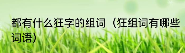 都有什么狂字的组词（狂组词有哪些词语）
