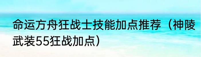命运方舟狂战士技能加点推荐（神陵武装55狂战加点）
